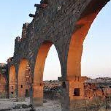 Khaled Sh Profile Picture