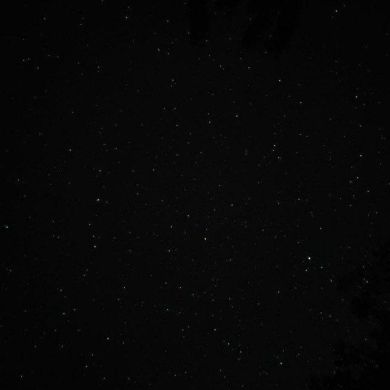 Sabrina Pheebs Profile Picture