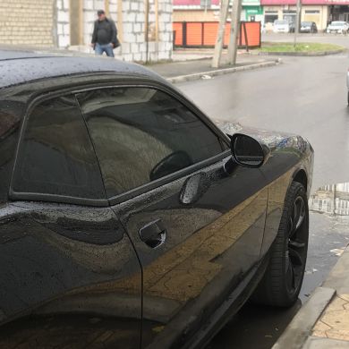 Eldar Gamzatov Profile Picture