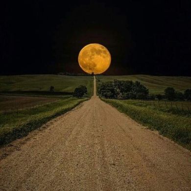 Алина Ибрагимова Profile Picture