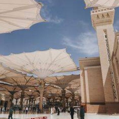 عنود الفاخوري