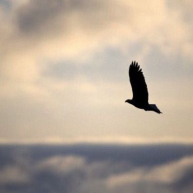 Rika Ri Profile Picture