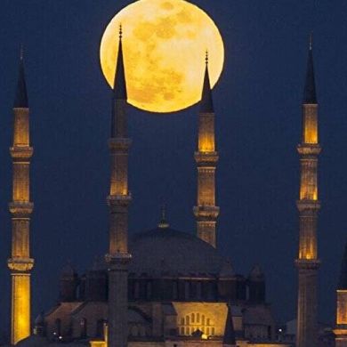 مضر العضيبات Profile Picture