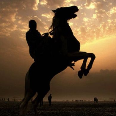 Yasir Khadisov Profile Picture