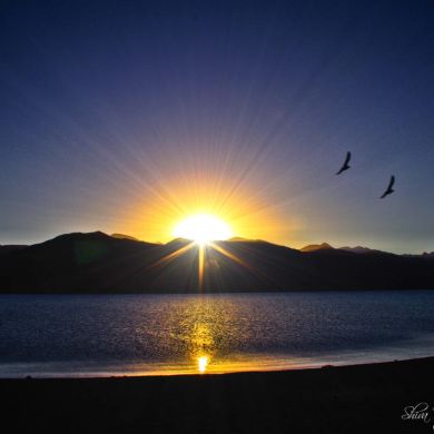 Рим Сулейманова Profile Picture