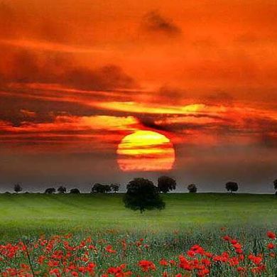 عطاالله آلهامي Profile Picture