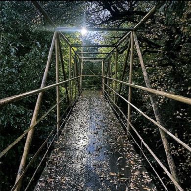 Yunus Djamalov Profile Picture