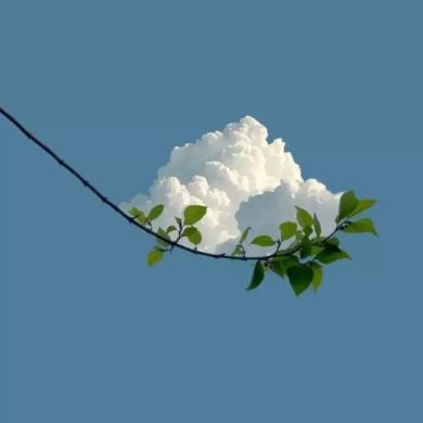 Ibra Magomadov Profile Picture