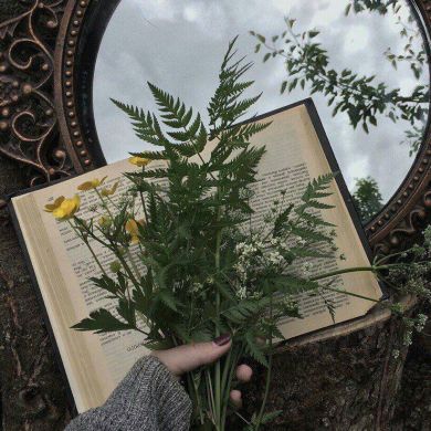 نزميه ابوالحاج