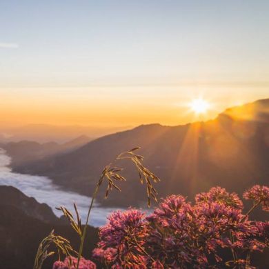 Василиса Лукинa