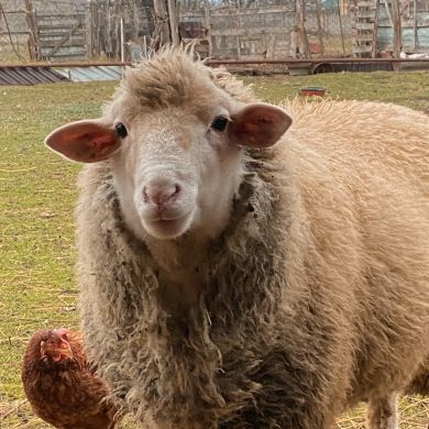 Заира Бинт Хаджи Profile Picture