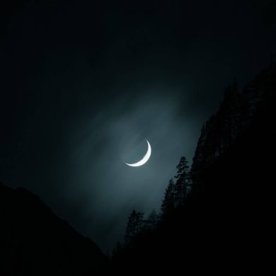 حمدي شمر Profile Picture