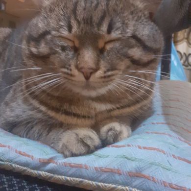 Марина Мариновна Profile Picture