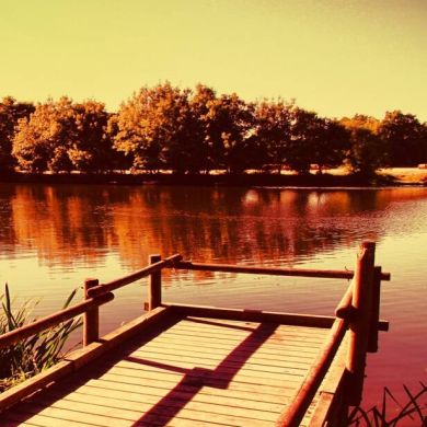 Юсраа Хурийя