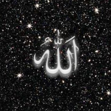 Полина Кузнецов