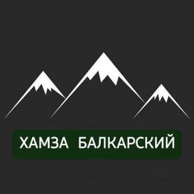 Hamza Balkarskiy Profile Picture