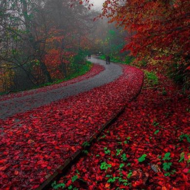 Иман Ильинa Profile Picture