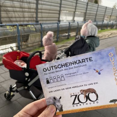 Feruza Khikmatova Profile Picture