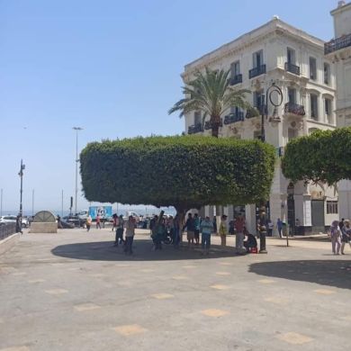 Mohammed  Abdelali  Profile Picture