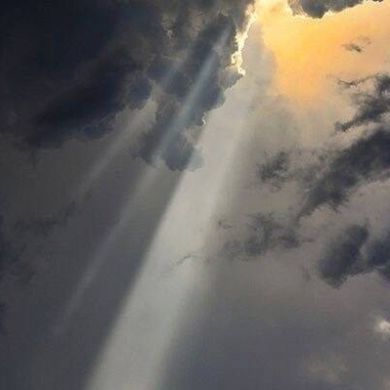 Naima Zubayraeva Profile Picture