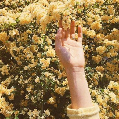 عائشة المصري