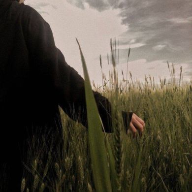 Brigitte Stoltenberg