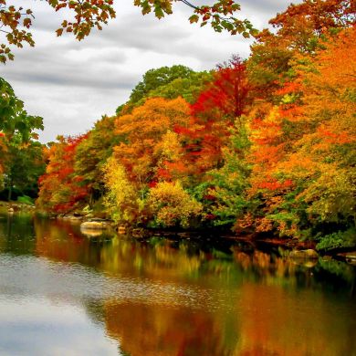 Гульнара Лукманова Profile Picture