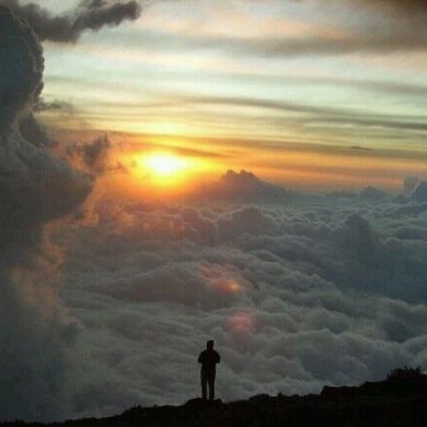 Al Daud Profile Picture