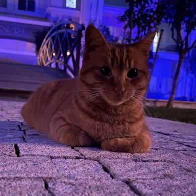 Мурат Татаркулов Profile Picture