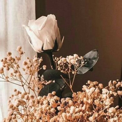 Yesenia Nikolaus Profile Picture