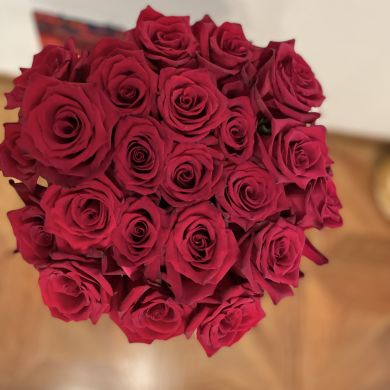 Dinara Arslanova Profile Picture