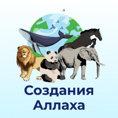 творения Господа profile picture