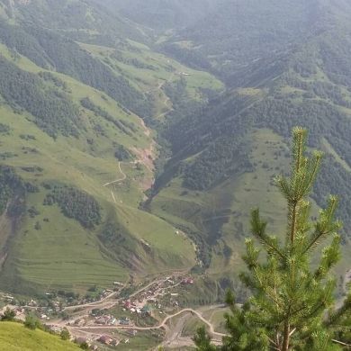 Abubakar Chechenskiy Profile Picture