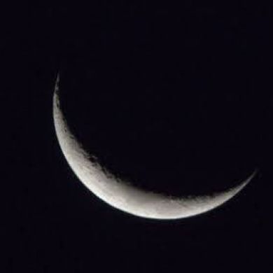 Шахм Раджа Profile Picture