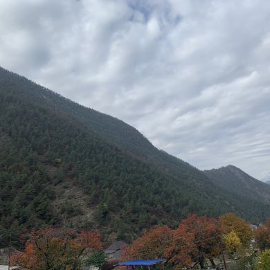 Айна Годжоева