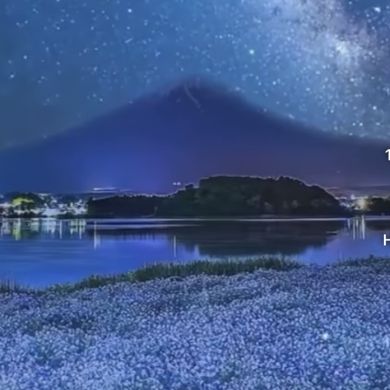 Nuri Nurienko Profile Picture