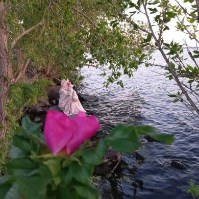 Аиша Ишмурзина