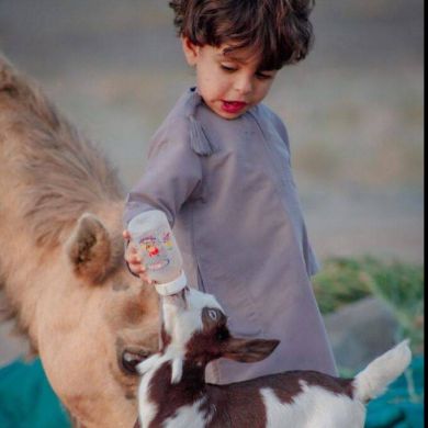 Худобахш Баротов Profile Picture