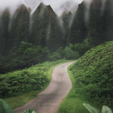 Лиза Далгатова Profile Picture