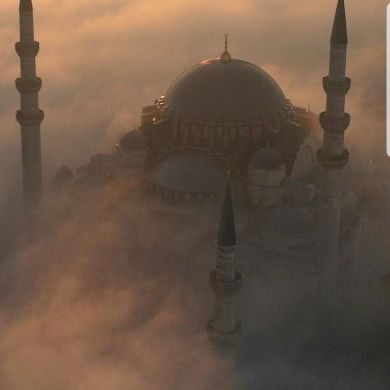 Zebo Babaeva Profile Picture