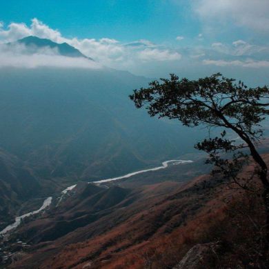 ANFAL 777 Profile Picture