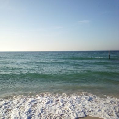 نورالدين لاغة Profile Picture