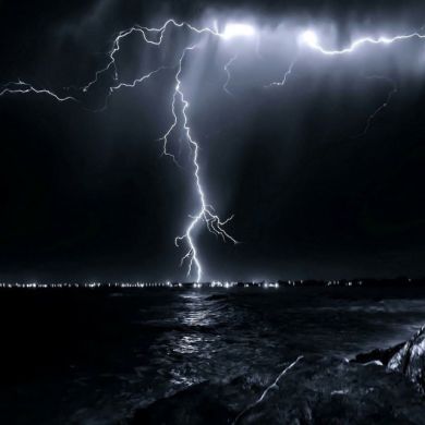 Ali Dag Profile Picture