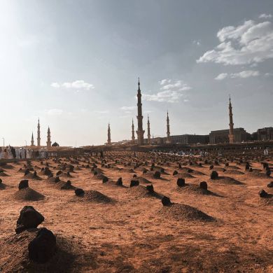 Aisha Adaeva Profile Picture