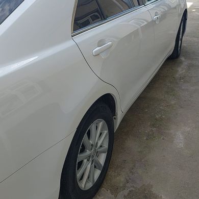 Шамс Нуров Profile Picture