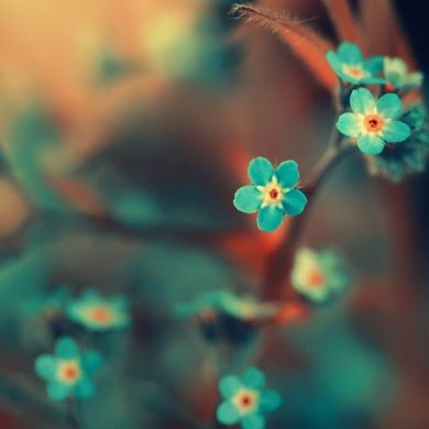 Мавлюдова Тамара Profile Picture