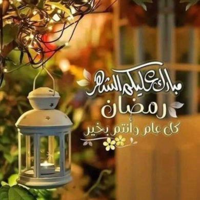 Анна Мусса Profile Picture