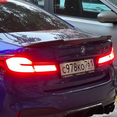 Rauf Bagautdinov Profile Picture