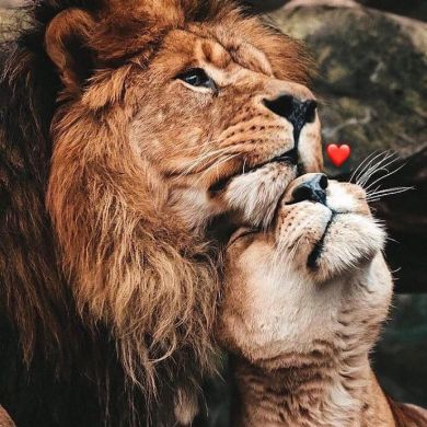 Зоряна Остапчук Profile Picture