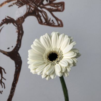 Зайнаб Багандалиева